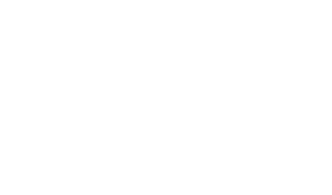 Steward Link Logo