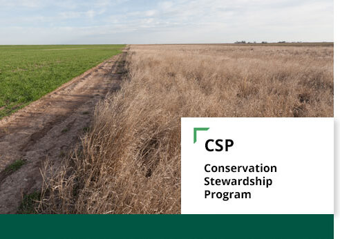USDA Offers Conservation Stewardship Program Participants Renewal Options for Contracts Set to Close
